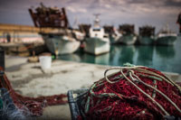 Nueva ley de protección social de los trabajadores del mar 