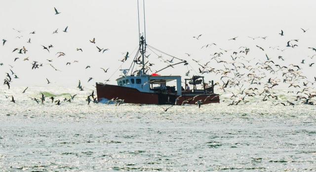 Publicada la Orden donde se establecen las bases de cotización para 2025 de los grupos segundo y tercero del RETMAR. Imagen de un barco de pesca en alta mar